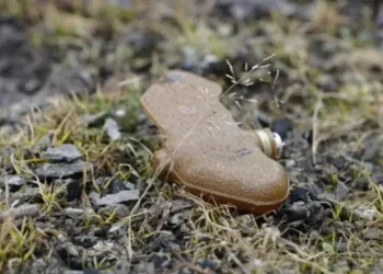 На Нікопольщині попереджають про смертельно небезпечну дорогу