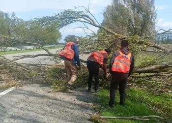 На трасах області ліквідували наслідки негоди