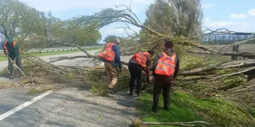 На трасах області ліквідували наслідки негоди