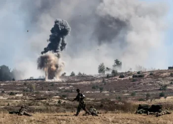 НАТО не готове до війни з РФ — навчання в Естонії показали проблеми Альянсу у боротьбі з БпЛА – новини світу – Світові новини