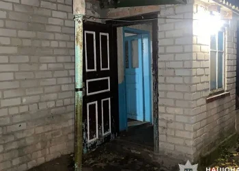 Ніж у серце: поліція Апостолового затримала підозрювану у вбивстві