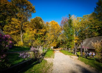 Новини Львова: Нетипове потепління на Львівщині загрожує екосистемі