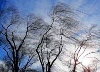 Новини Львова: У Львові оголосили штормове попередження на 19 жовтня