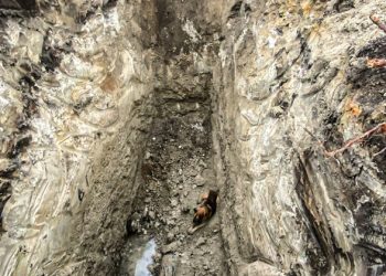 Новини Львова: У Львові переляканий собака втік від господаря та потрапив у пастку