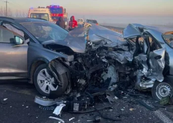 Потрійна смертельна ДТП на Львівщині: загинув водій «Daewoo Lanos»