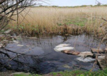 Потрійний вбивця з Запоріжжя отримав довічне