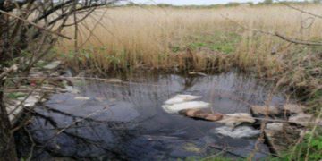 Потрійний вбивця з Запоріжжя отримав довічне