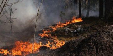 Пожар в Чернобыльской зоне продолжается: МВД сообщило об уровне радиации в Украине на 8 мая