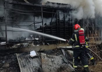 Пожежа в селі Солонка: рятувальники успішно ліквідували загоряння у дровітні –