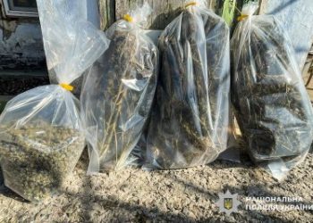 Реалізовували наркоречовини по місту: у Миколаєві поліцейські затримали підозрюваних у незаконному обігу наркотиків »