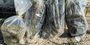 Реалізовували наркоречовини по місту: у Миколаєві поліцейські затримали підозрюваних у незаконному обігу наркотиків »