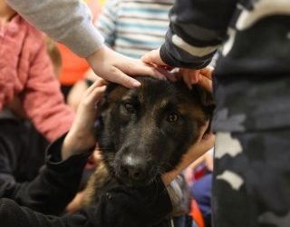 Різдвяні вітання маленьких пацієнтів: у Миколаєві кінологи поліції разом із чотирилапими напарниками завітали до дітей, які зараз перебувають на лікуванні »