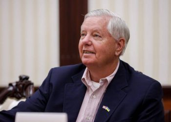 Сенатор Грем відповів Залужному щодо гарантій безпеки для України