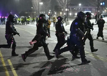 Шахраї та іммігранти США – підроблена контора та інсценовані слухання – новини світу – Світові новини