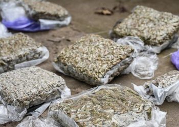 Шість наркоділків постануть перед судом у Запоріжжі