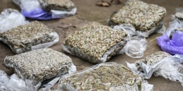 Шість наркоділків постануть перед судом у Запоріжжі