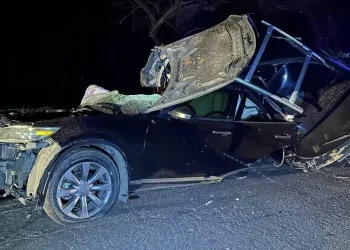 Смертельна ДТП на Криворіжжі:  25-річного пасажира не врятували