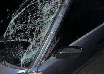 Смертельна ДТП у Запоріжжі: водій збив пішохода