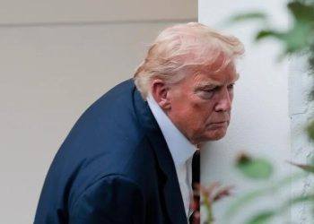 Трамп хоче домогтися підписання мирної угоди від України до Дня подяки | Політика