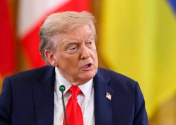 Трамп та Путін узгодили передачу Донбасу Росії й заморозку фронту ще в серпні-2025 – Reuters