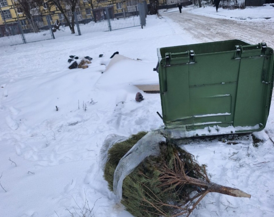 Ялинка на смітнику у Дніпрі 
