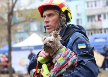 У Дніпрі рятувальники дістали з-під завалів живу собаку