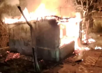 У Кам’янському під час пожежі на дачі загинула жінка