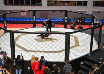 У Кам’янському  відбувся відкритий чемпіонат області з ММА