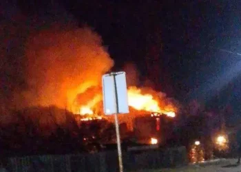 У Кривому Розі з пожежі врятували дитину та дорослого