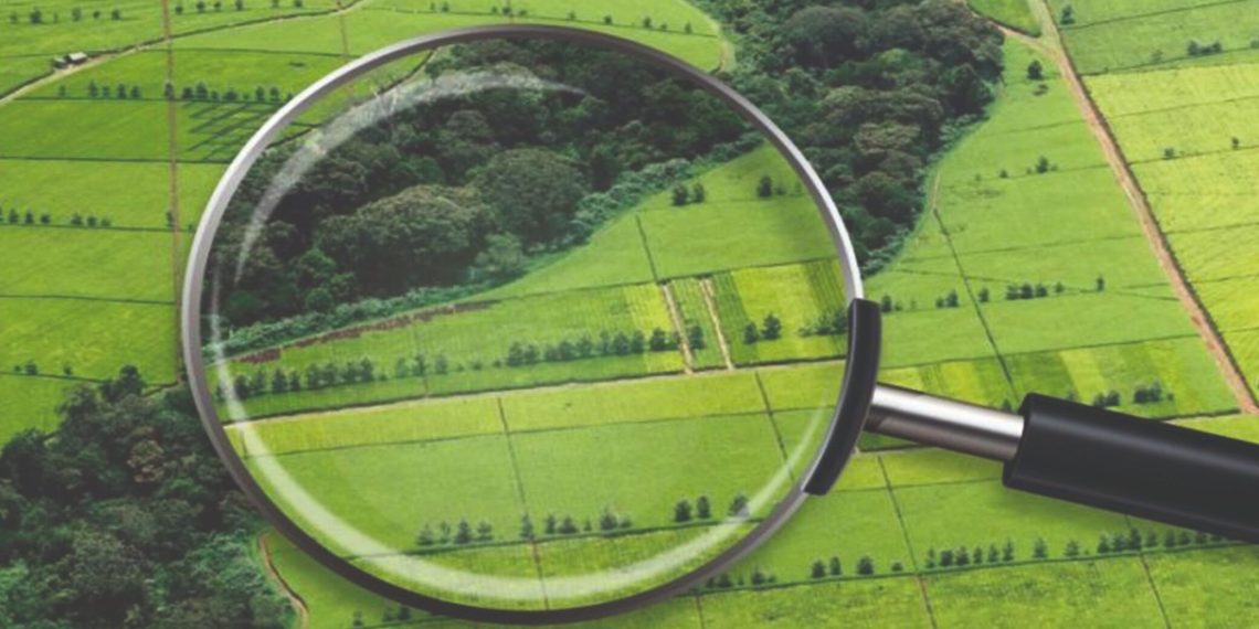 У Львівській громаді виставили на аукціон 10 земельних ділянок: для бізнесу, готелю, фермерства і паркінгу –