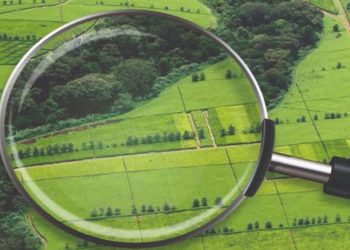 У Львівській громаді виставили на аукціон 10 земельних ділянок: для бізнесу, готелю, фермерства і паркінгу –