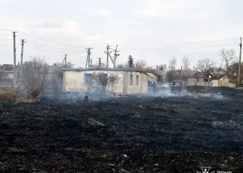 У Пʼятихатках вогонь з поля перекинувся на житлове подвірʼя
