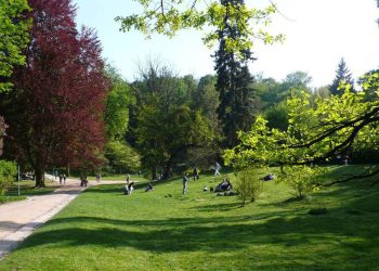 У Стрийському парку Львова встановлять понад сотню нових меблів і велопарковок –