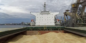 Україна переконує Туреччину не розвантажувати судно Panormitis з краденим росіянами зерном – Світові новини