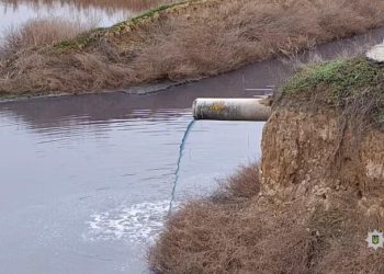В Одесской области директор винодельческого предприятия подозревается в загрязнении земель более чем на 12 млн гривен