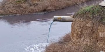 В Одесской области директор винодельческого предприятия подозревается в загрязнении земель более чем на 12 млн гривен
