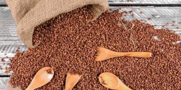 В Украине может подорожать гречка: к чему готовиться