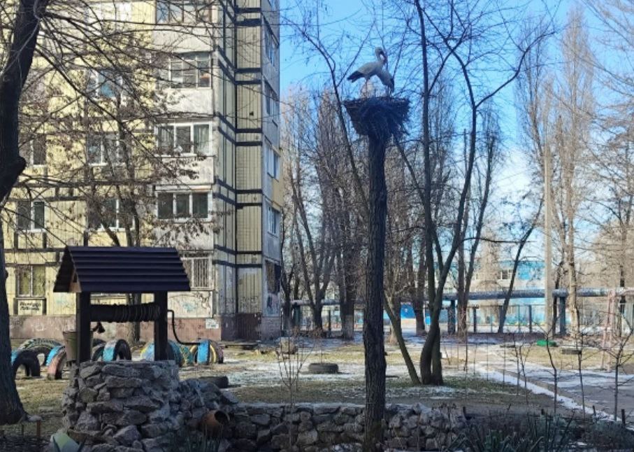 новини Дніпра (8033), сортування сміття