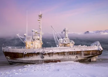 Віткофф та Кушнер хочуть торгувати із РФ – американські інвестори не вірять у перспективи – аналіз WSJ – Світові новини