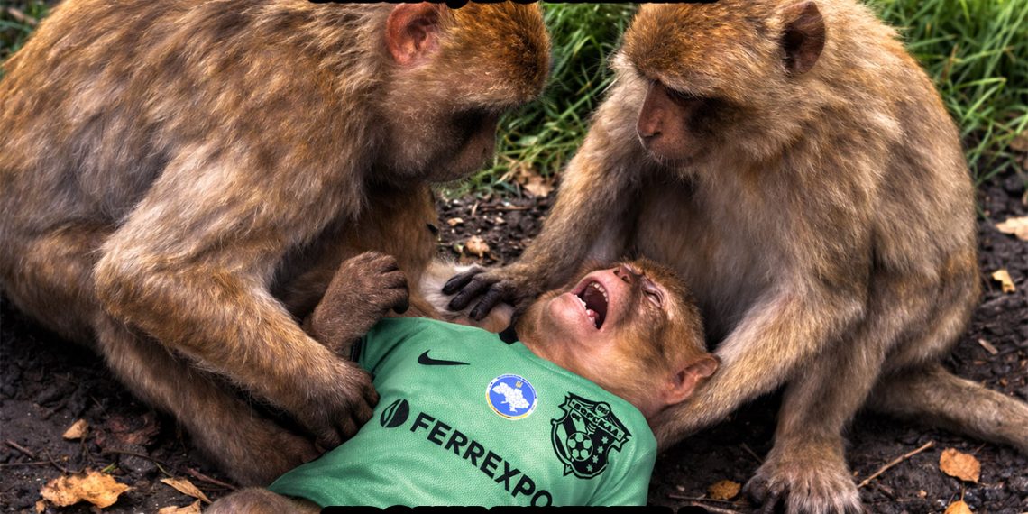 «Ворскла» та «Гірник-Спорт» пережили фінансову «клінічну смерть»: процеси у клубах призупинено, але команди поки не «поховали» • Футбол •