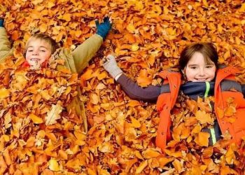 Все-таки будут: в Одессе и в Одесской области вернули осенние каникулы