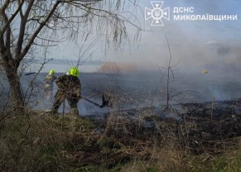 За добу на Миколаївщині зареєстровано сім пожеж в екосистемах »