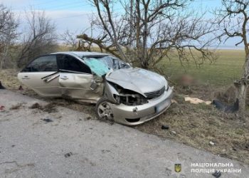 Загибла та травмований внаслідок ДТП – поліцейські встановлюють обставини автопригоди у Миколаївському районі »