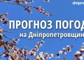 Заморозки на ґрунті: погода у Дніпрі та області на 17 квітня