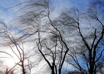 Заморозки та пориви вітру: що потрібно знати львів’янам –