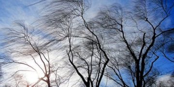 Заморозки та пориви вітру: що потрібно знати львів’янам –