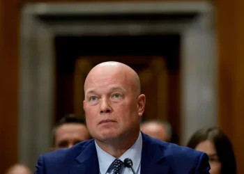 Зброя для України – скільки США ще постачатимуть озброєння – Вітакер відповів – Світові новини