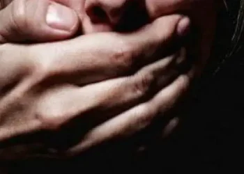 Зв’язав чоловіка та зґвалтував дружину: на Синельниківщині затримали злодія