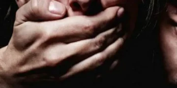 Зв’язав чоловіка та зґвалтував дружину: на Синельниківщині затримали злодія